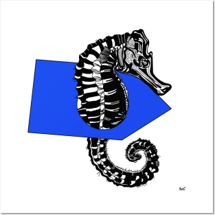 Graphics. Sea horse. Posters and Art